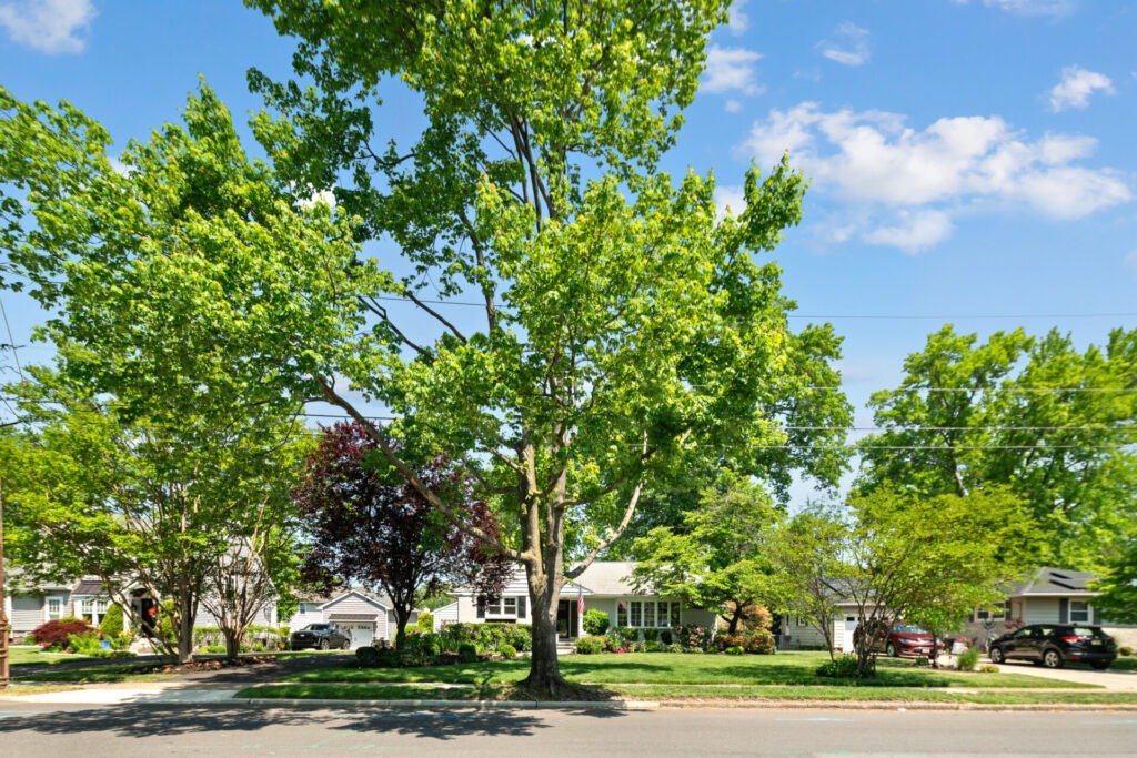 619 N Edge Park Drive Haddonfield, NJ - 7 619 N Edge Park Drive Haddonfield, NJ - 6